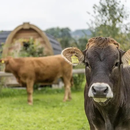 霍夫吉纽思住宿加早餐旅馆 住宿加早餐酒店