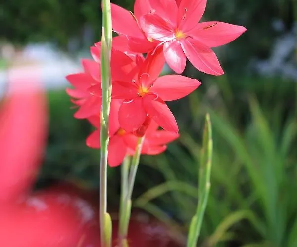 Hofgenuss * Ganterschwil