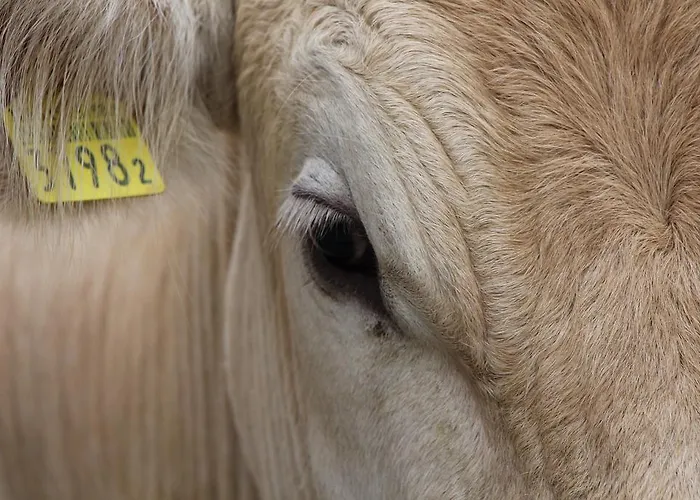 Hofgenuss * Ganterschwil