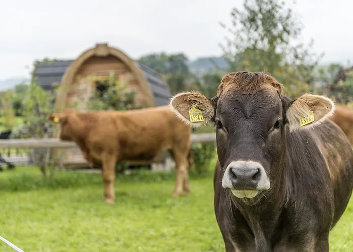 Hofgenuss Couette-café