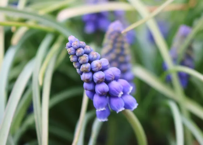Hofgenuss * Ganterschwil