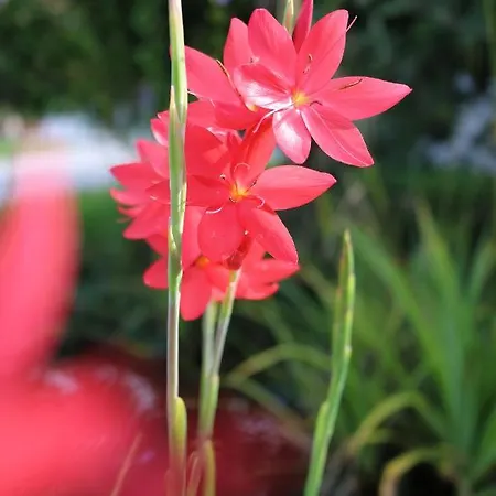 Hofgenuss * Ganterschwil