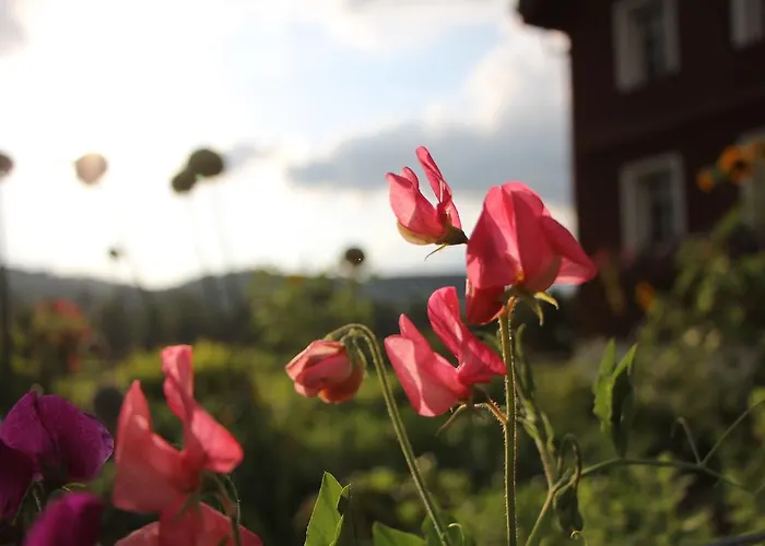 Hofgenuss Bed and breakfast