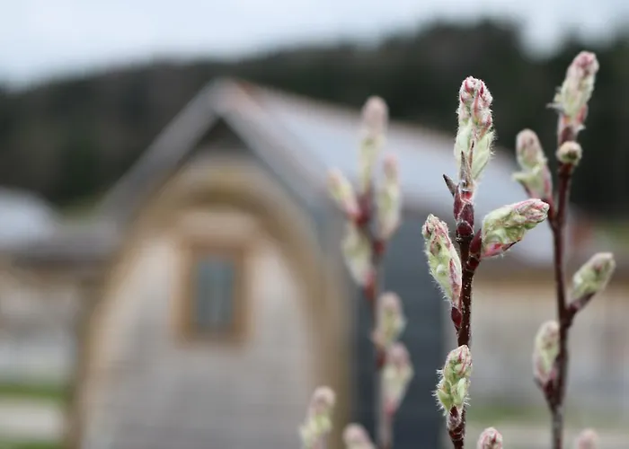 Hofgenuss * Ganterschwil